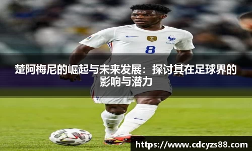 JN体育官网